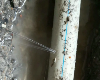 西平卫生间测漏水多少钱